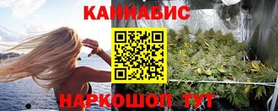 индика Заводоуковск
