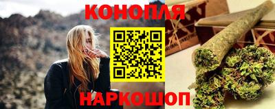 индика Заводоуковск